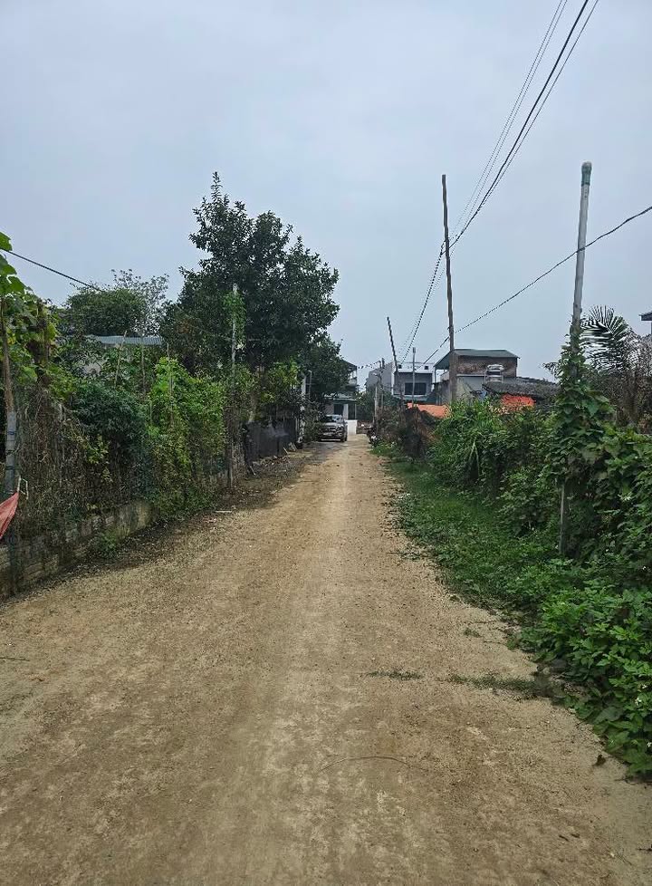 Bán Đất Nền Lưỡng Vượng, Tuyên Quang - 598m² Thổ Cư, Sẵn Sàng Xây Dựng