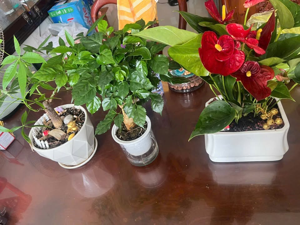 Cho thuê nhà mặt tiền Á Châu, Vũng Tàu - 6PN, 4 tầng - Kinh doanh đa ngành