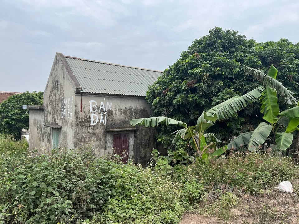 Nhà Mặt Tiền Biển Thái Thụy 364m² - Kinh Doanh Đa Ngành - Giá 3.7 Tỷ