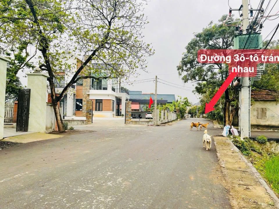 Đất Nền Vĩnh Phúc 97m² - View Cánh Đồng Thanh Xuân, Bình Xuyên - 1.5 Tỷ