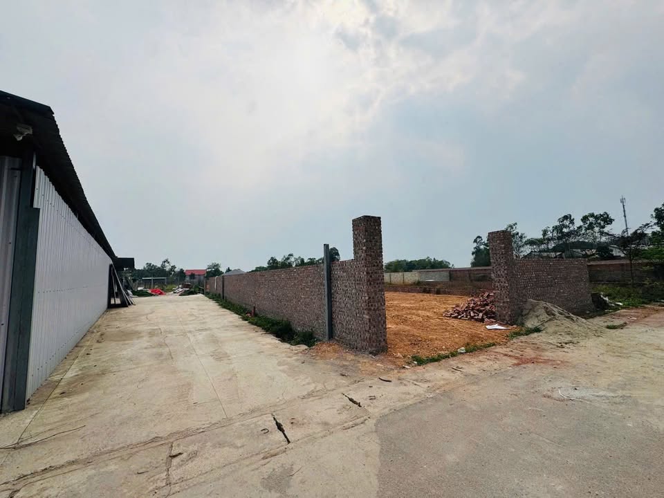 Bán Gấp Đất Vĩnh Yên 1600m² Mặt Tiền 10m - Lý Tưởng Kho Xưởng