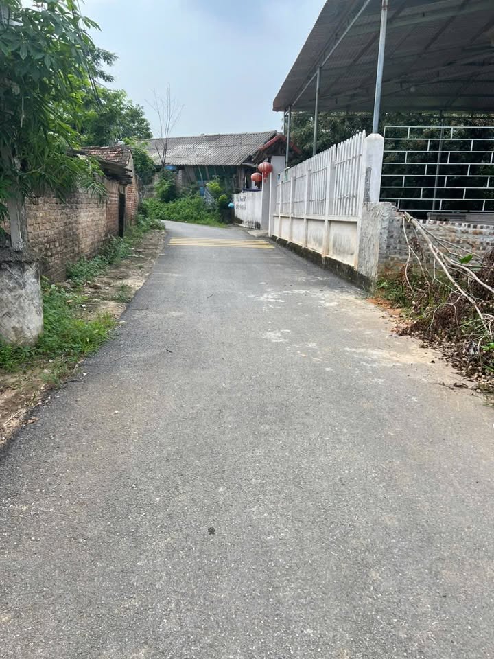 Đất nền Bình Xuyên 55m² - Giá chỉ 4xx triệu, sổ thổ cư