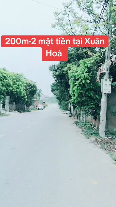 Đất Lô Góc Vĩnh Phúc 200m² - Kinh Doanh Đắc Lợi Mặt Tiền 13.5m