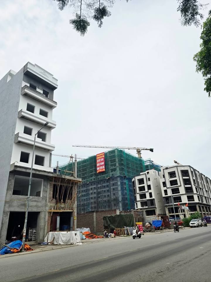 Đất TĐC Mặt Tiền Lê Thánh Tông, Ngô Quyền 70m² - Kinh Doanh Đa Ngành