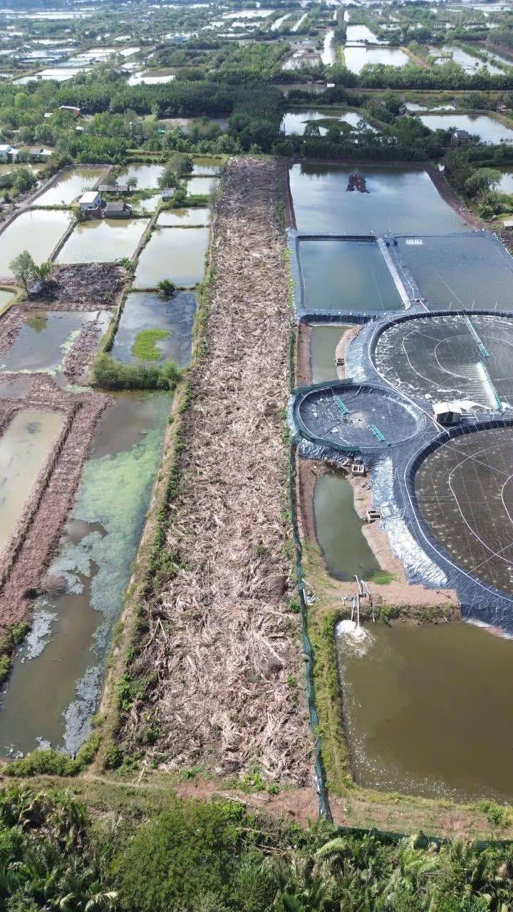 Bán Gấp 10 Công Đất Ao Nuôi Tôm Đôn Châu, Duyên Hải - Sẵn Điện Nước