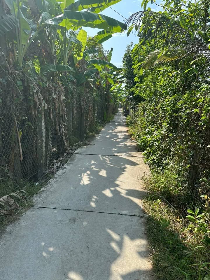 Bán Đất Vĩnh Long 145m² Giá 220 Triệu - Sổ Hồng Thổ Cư 100%