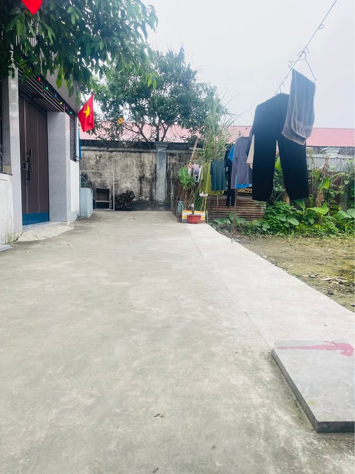 Đất Nghi Kim - Sổ Đỏ 76m² - Gần Đại Lộ Thăng Long, Giá 1.6 Tỷ