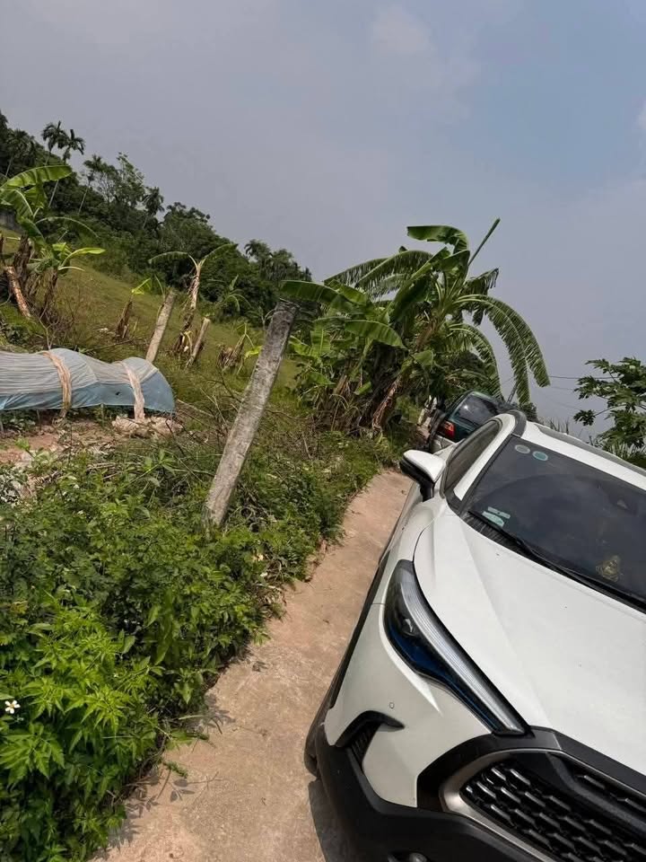 Đất Nền Mặt Tiền Rộng 9m Tại Bình An, Hà Nam - Chỉ Từ 300 Triệu