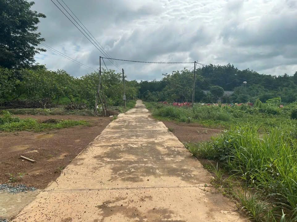 Bán Đất Minh Đức Hớn Quản 414m² - 2.x Tỷ, Sẵn 100m² Thổ Cư