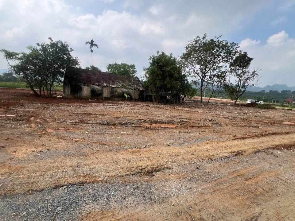 Đất Vườn 10.650m² Mặt Tiền 70m Đại Lộ Đông - Tây, Ninh Bình