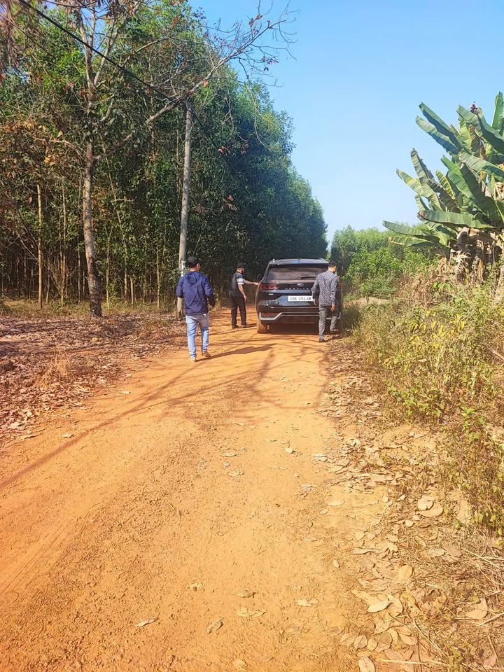 Bán Gấp Đất Vườn 4000m² Vĩnh Tân, Đồng Nai - Giá 1.5 Tỷ, Sẵn Điện 3 Pha