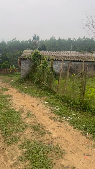 Đất nền Phú Thọ - 290m² mặt tiền 10m, giá chỉ 200 triệu, gần trung tâm