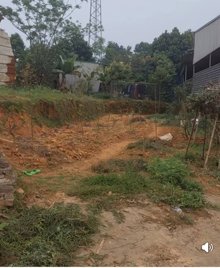 Đất Mặt Tiền Đường DH4, Phú Thọ - Kinh Doanh Đắc Lợi 111m²