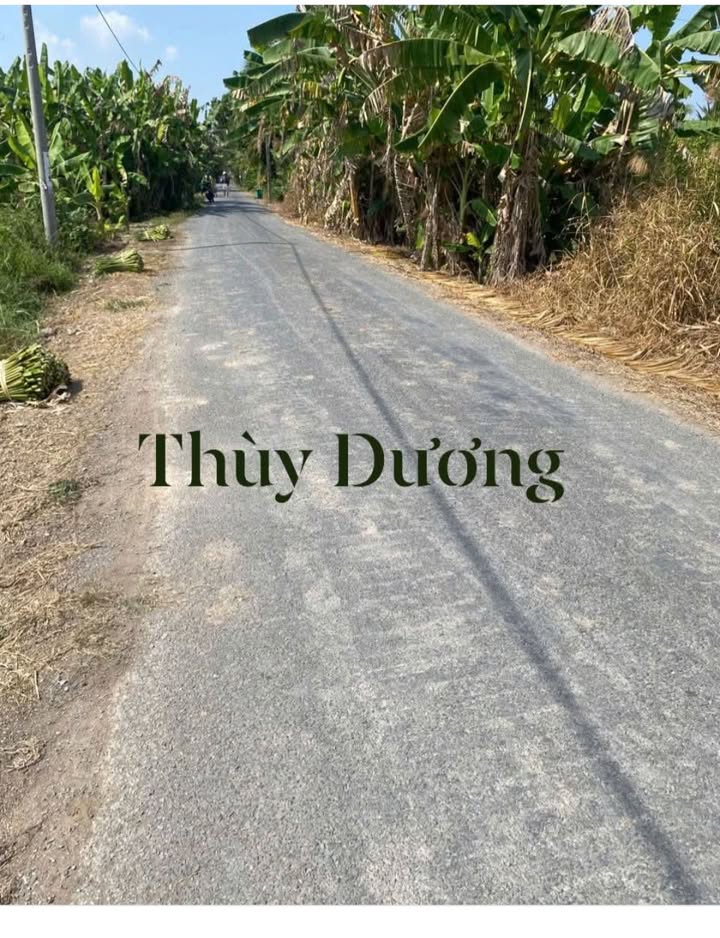 Bán Đất Vườn 4200m² Tháp Mười, Đồng Tháp - Giá 2.4 Tỷ, Sẵn Sổ Lâu Năm