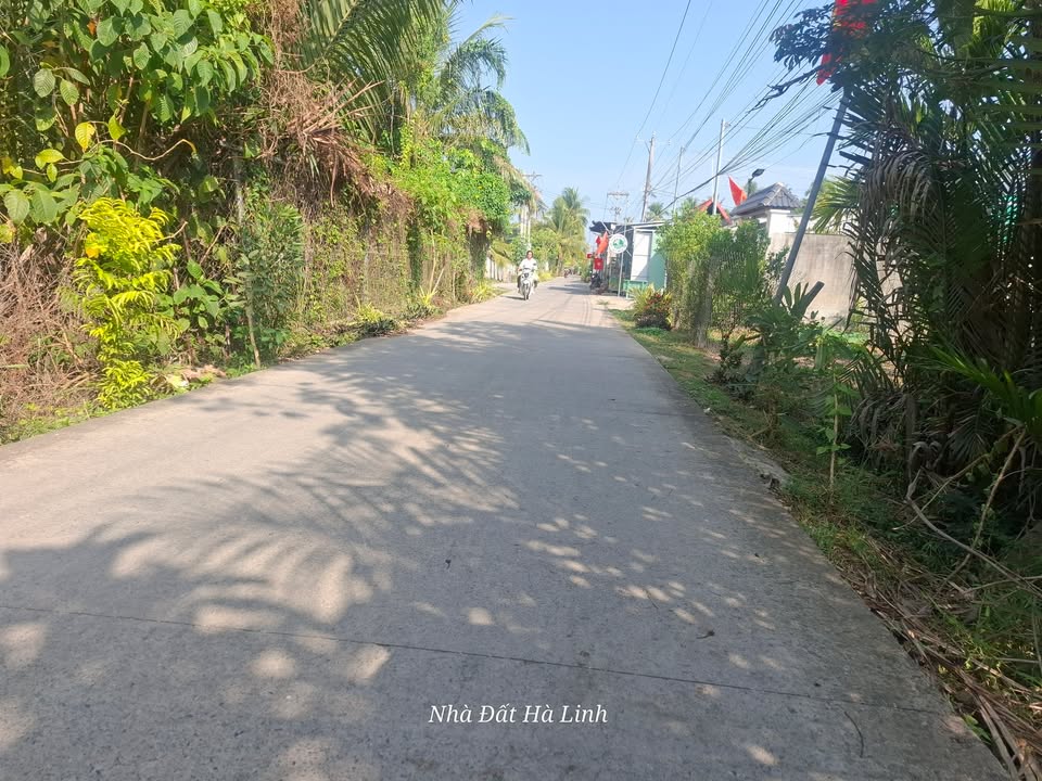 Bán đất nền 250m² Thạnh Ngãi, Bến Tre - Lộ thông 3m, giá 600 triệu