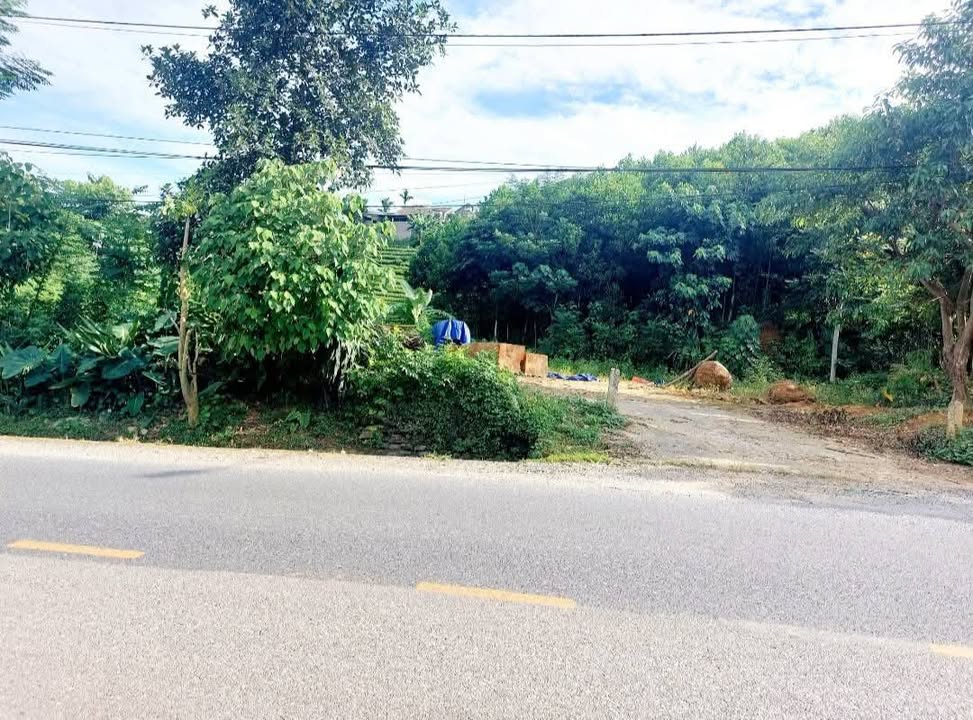 Đất Nền Mặt Tiền QL37 Phú Xuyên, Đại Từ 107m² - Đầu Tư Sinh Lời Cao