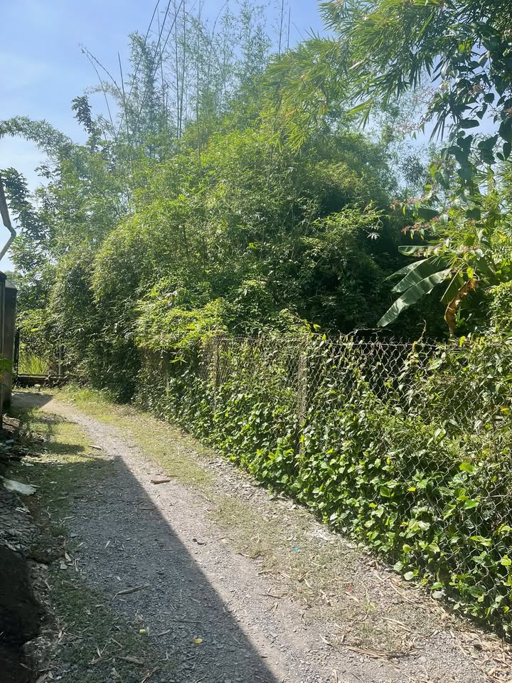 Đất nền Long Sơn, Cần Đước 105m² tặng nhà mới - Sổ hồng sẵn