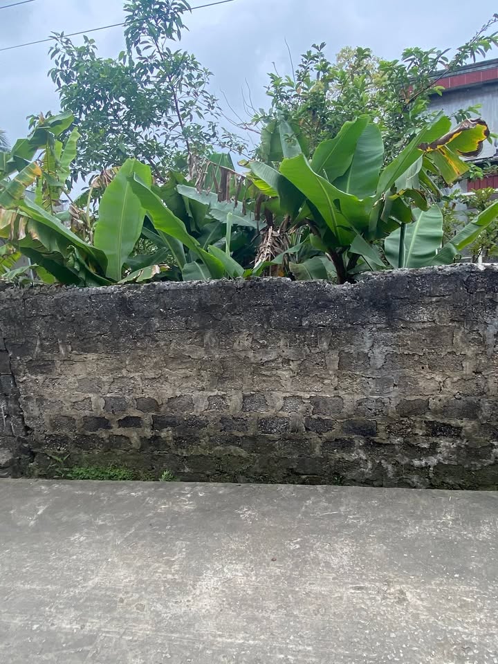 Đất nền Vạn Thắng 1, Nghi Sơn 150m² - Sổ đỏ sẵn sàng, giá đầu tư 1.1 tỷ