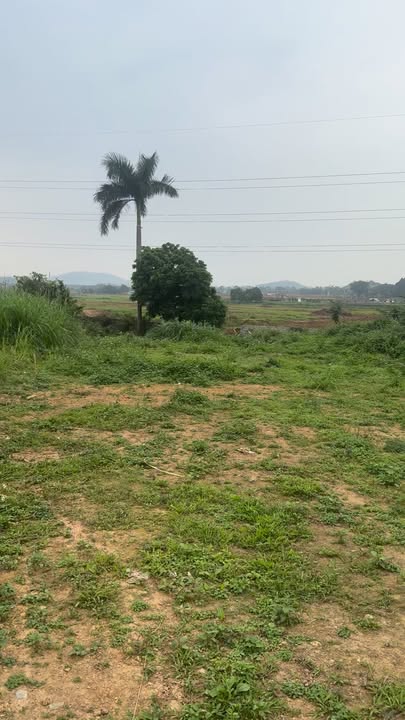 Đất Nền Lương Sơn 618m² - Mặt Tiền Trục Chính, Gần KCN, Giá Hời Hơn 10tr/m²