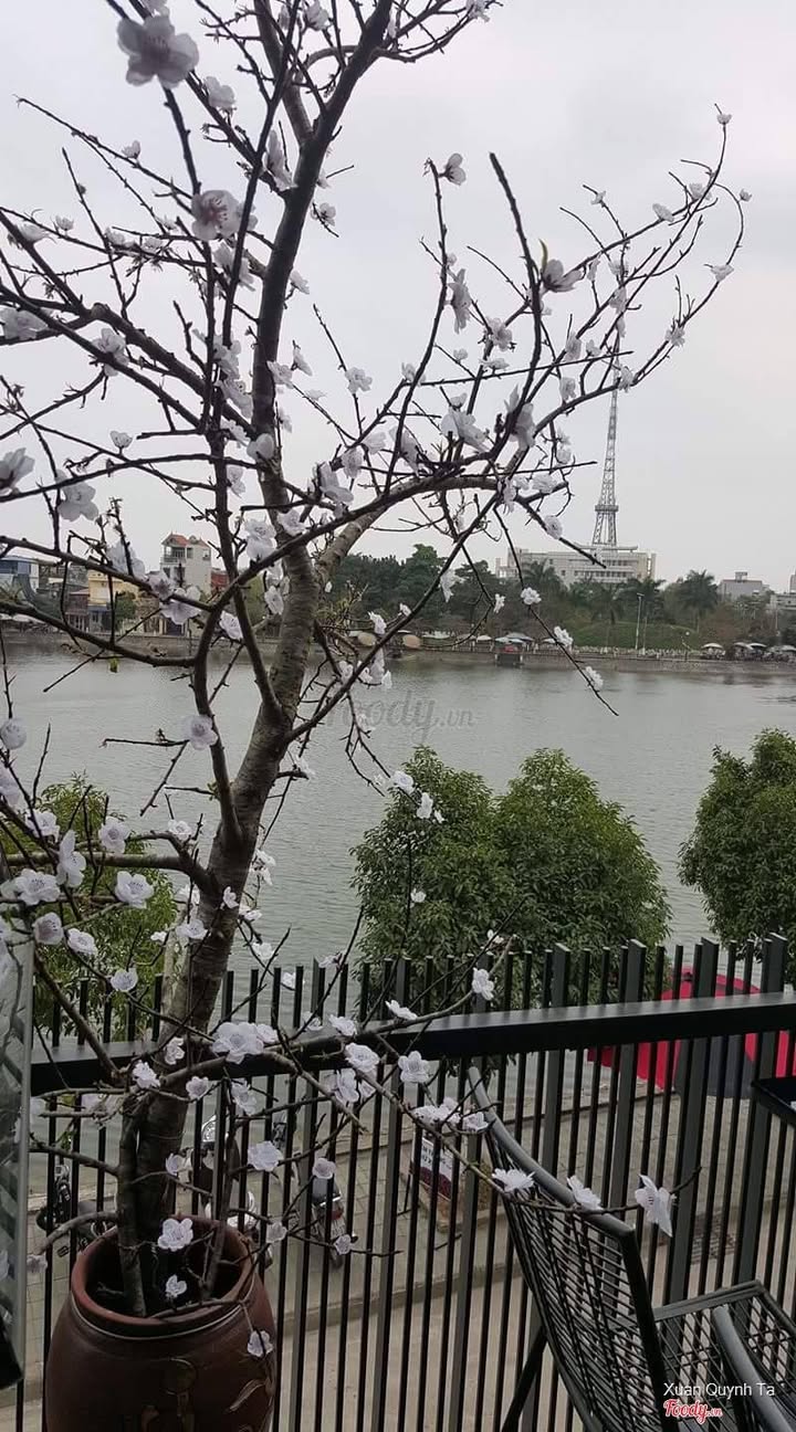 Nhà Mặt Phố Phủ Lý 120m² - Kinh Doanh Đa Ngành, Cạnh Hồ Chùa Bầu