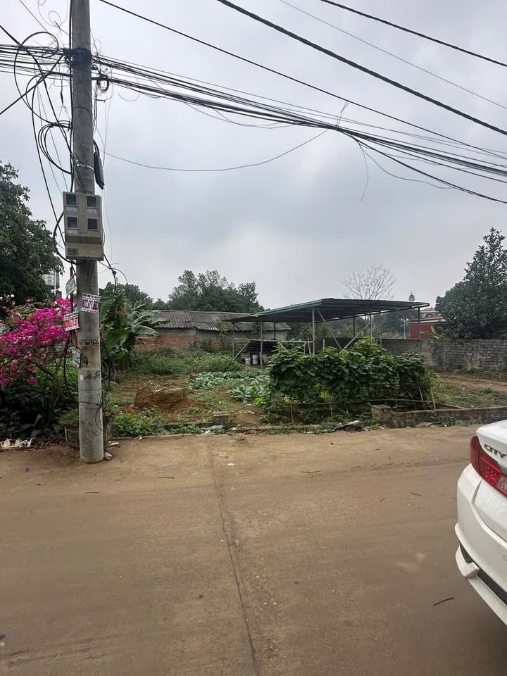 Bán đất 300m² Quan Hoa, Cầu Giấy - Giá chỉ 9 triệu/m²