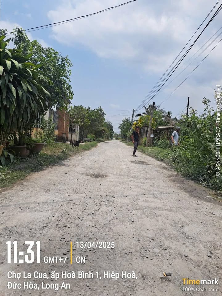 Bán Đất Vườn Xã Hiệp Hòa, Đức Hòa, Long An - 3428m² Sẵn Sổ Hồng