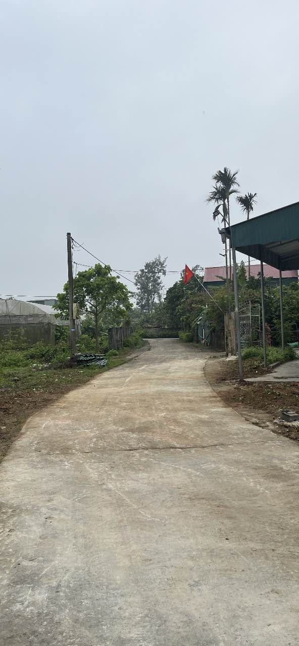 Đất Thổ Cư 193m² - Thôn Tây Bắc, Hà Tĩnh - Sổ Hồng Sẵn Sàng