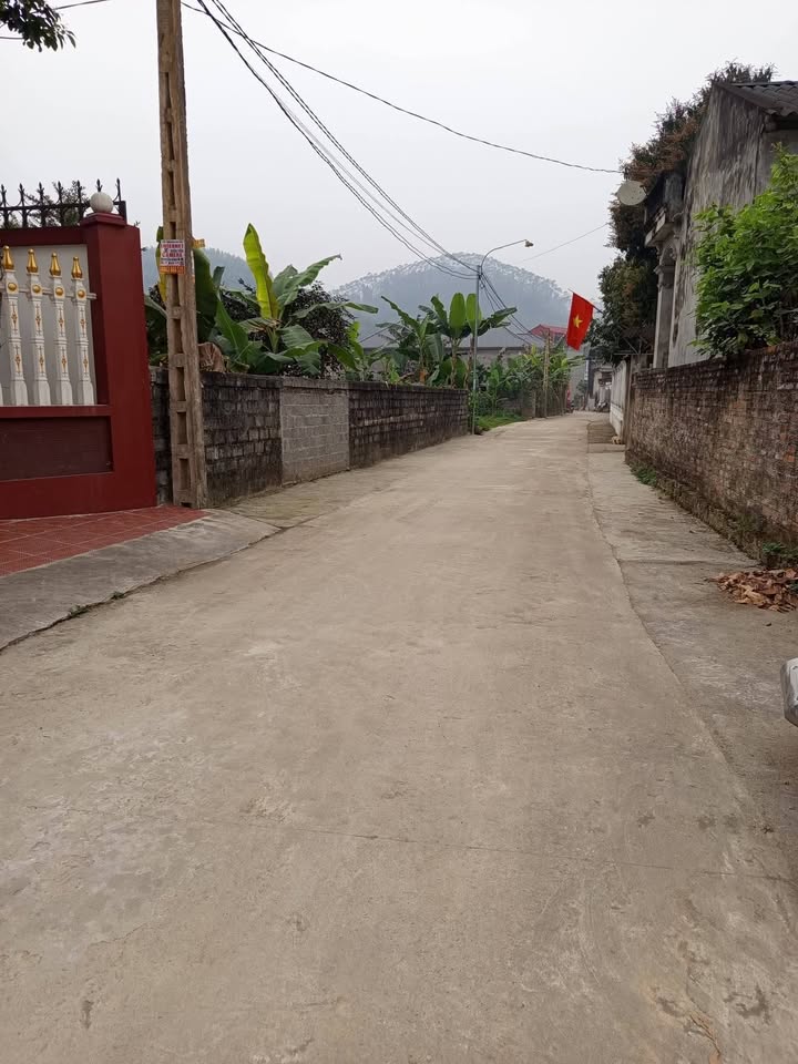 Bán Gấp Đất 873m² Mặt Đường Bê Tông, Xã Hùng Việt, Cẩm Khê, Phú Thọ