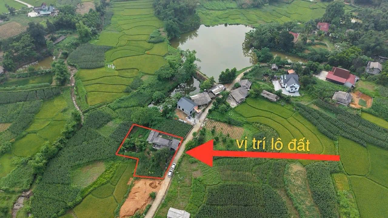 Đất Ngọc Lập, Yên Lập 700m² - Sẵn Nhà, View Đồng Mát
