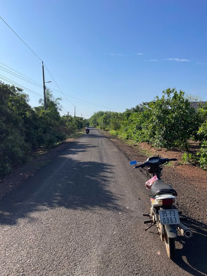 Đất nền Đồng Phú 175m² - Sổ đỏ thổ cư, giá tốt