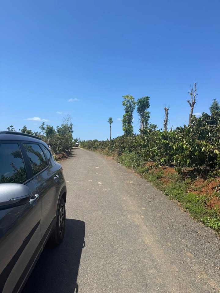 Bán Gấp Đất Kinh Doanh Mặt Tiền 20m Đường Nhựa Đăk Mil 360m² - 140 Tỷ