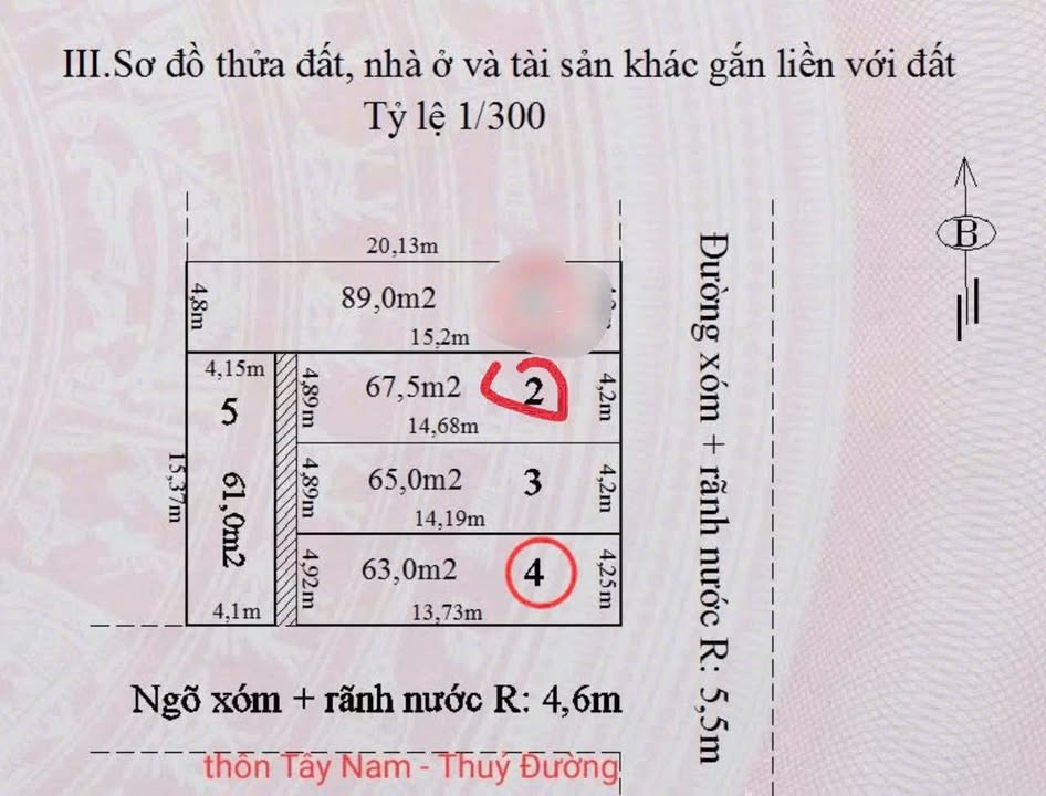Bán Đất Thủy Nguyên 67.5m² - Mặt Tiền Đường Nhựa, Kinh Doanh Tốt