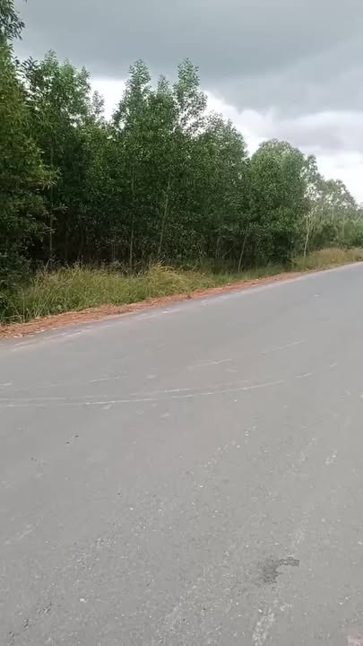 Bán Gấp Farm 100.000m² Suối Kiết, Bình Thuận - Giá 17 Tỷ