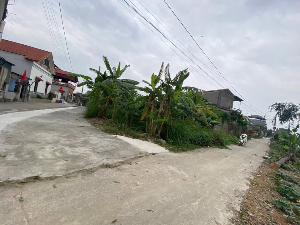 Bán Gấp Đất Góc 250m² Tại Bình Giang, Hải Dương - Giá 1 Tỷ