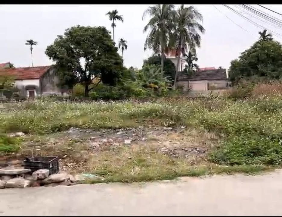 Bán Đất Vàng Đông Triều - 320m² Sổ Hồng Riêng, Mặt Tiền 12m Nở Hậu