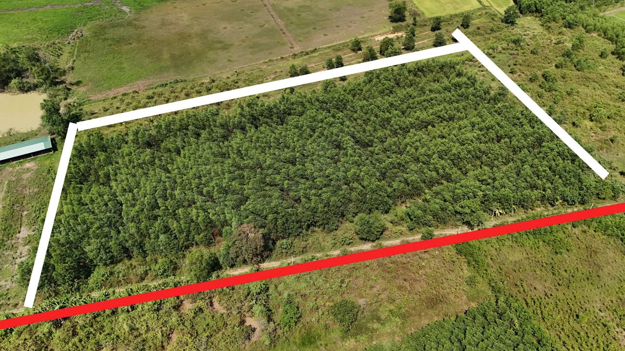 Đất Vườn Đồng Nai 14.000m² - Sổ Hồng Sẵn Sàng, Giá Đầu Tư 11.2 Tỷ