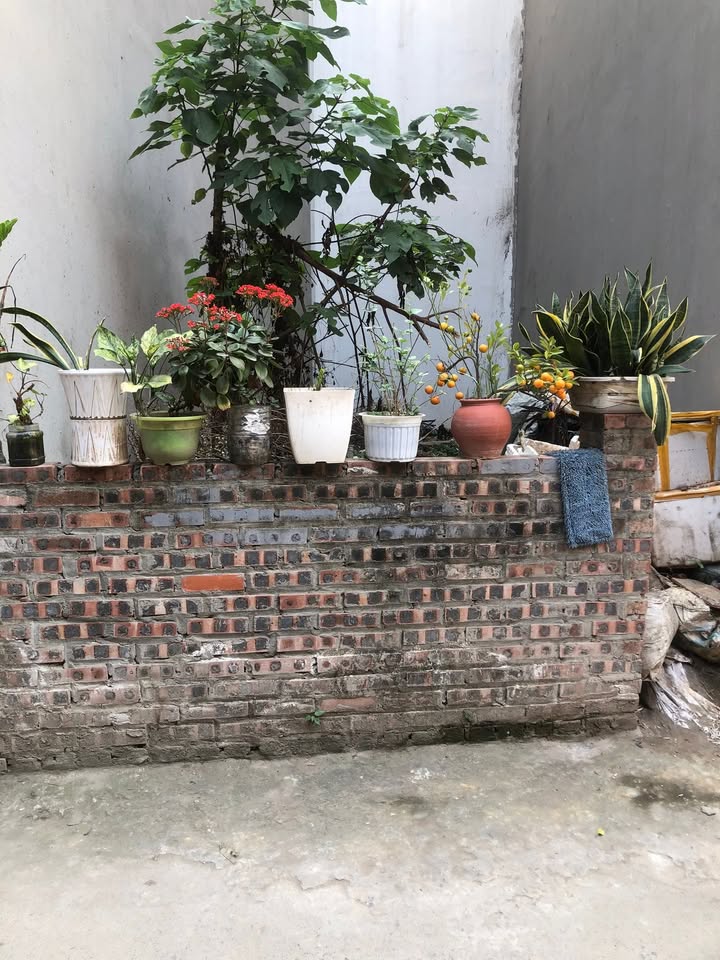 Đất Xuân Phương 40m² - Kinh doanh tốt, ô tô đỗ cửa