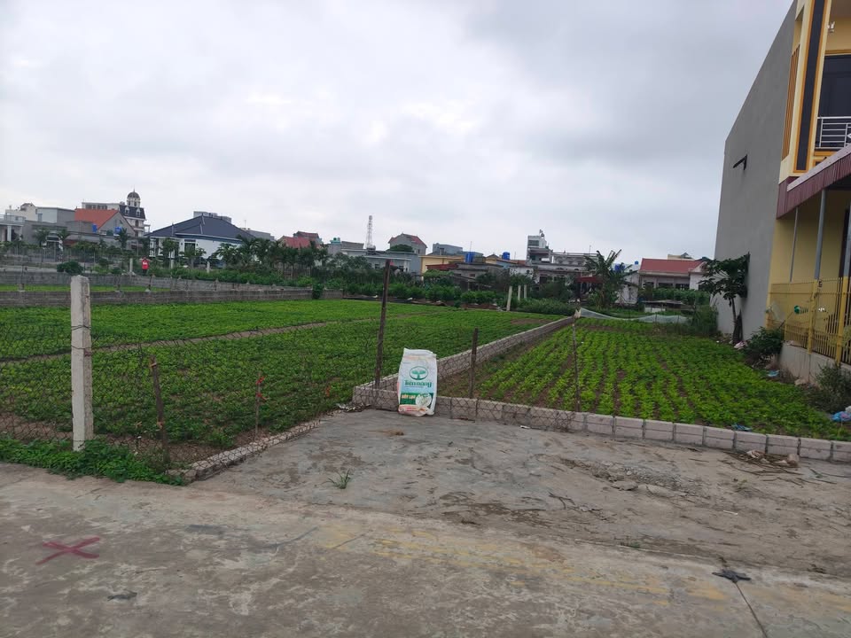 Bán Đất Giao Thịnh, Nam Định 143m² Full Thổ Cư - Sẵn Sàng Xây Dựng