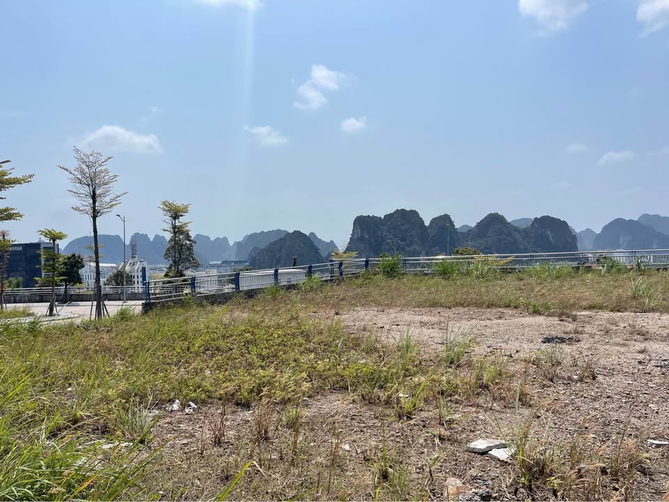 Đất biệt phủ Hạ Long 1000m² - View biển, sổ hồng vĩnh viễn