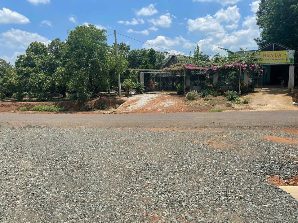 Đất nền Phước Long 1064m² - Mặt tiền 12m, Sổ đỏ 330 triệu