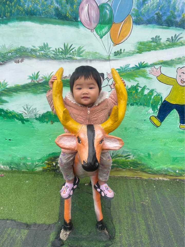 Bán Gấp Kho Xưởng 450m² Mặt Tiền QL4G, Mai Sơn, Sơn La - Giá Tốt Đầu Tư