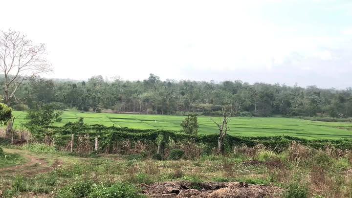 Đất nền Ea Rông, Đắk Lắk - 570m² nở hậu, view ruộng chill chỉ 500 triệu/lô