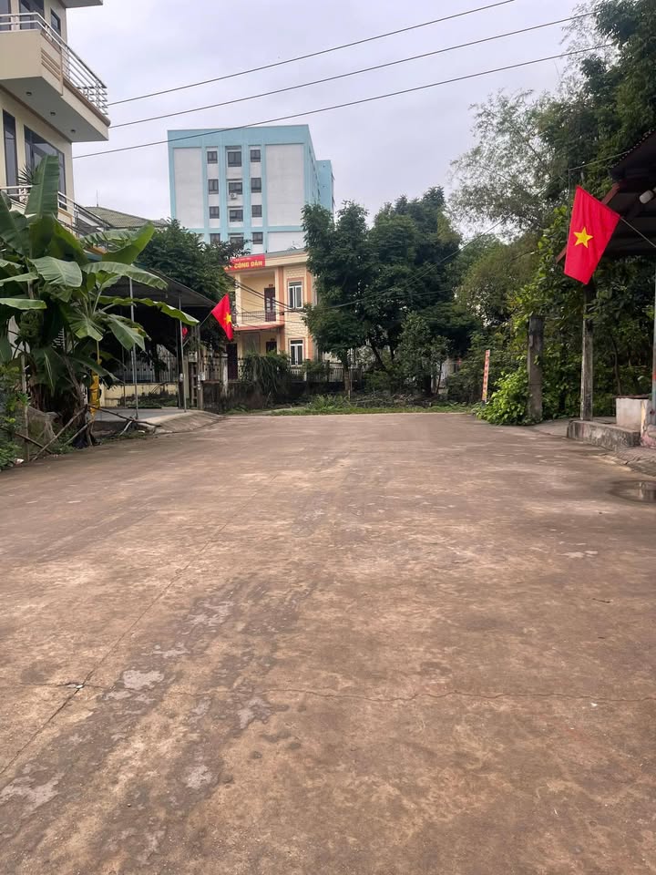 Đất đấu giá 80m² mặt tiền 4m, Phố Bùi, Tân Yên, Bắc Giang - Chỉ 2 tỷ