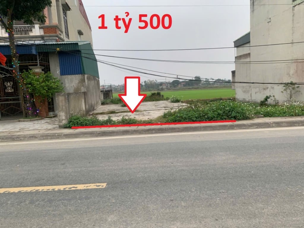 Đất nền Giao Yến, Giao Thủy 125m² 1.55 tỷ - Tiềm năng tăng giá!