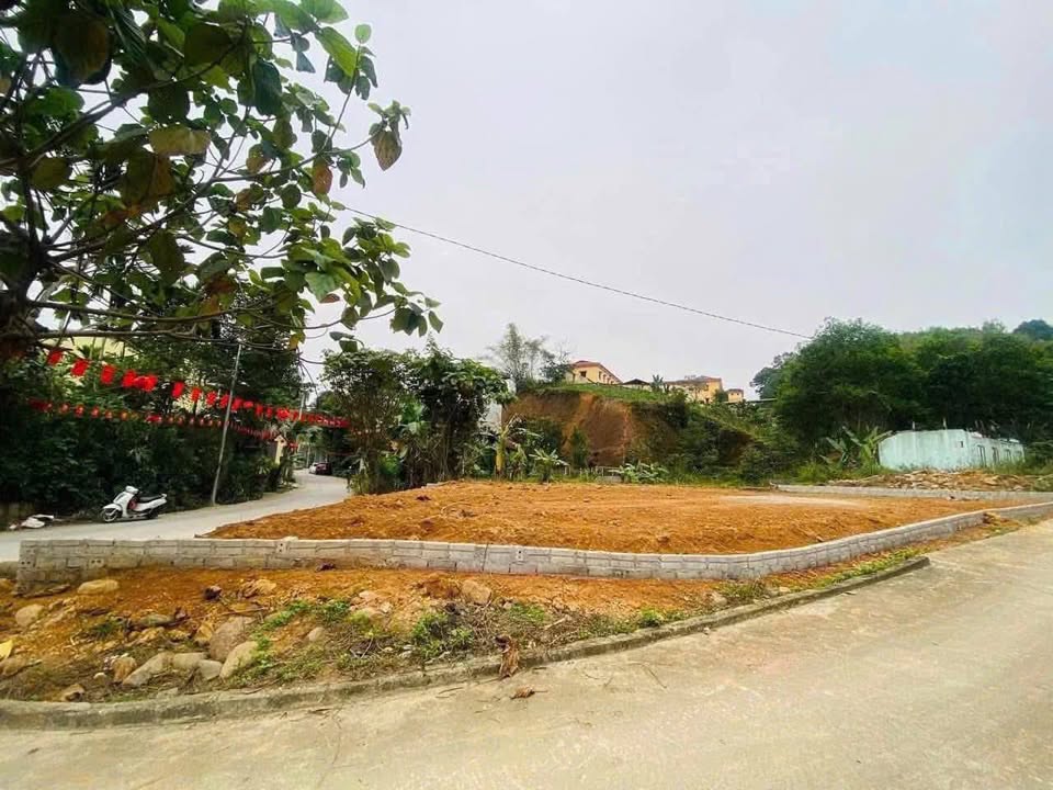 Bán đất Vườn Yên Bái 172m² - 2.5 Tỷ, 2 Mặt Tiền Thoáng Đãng