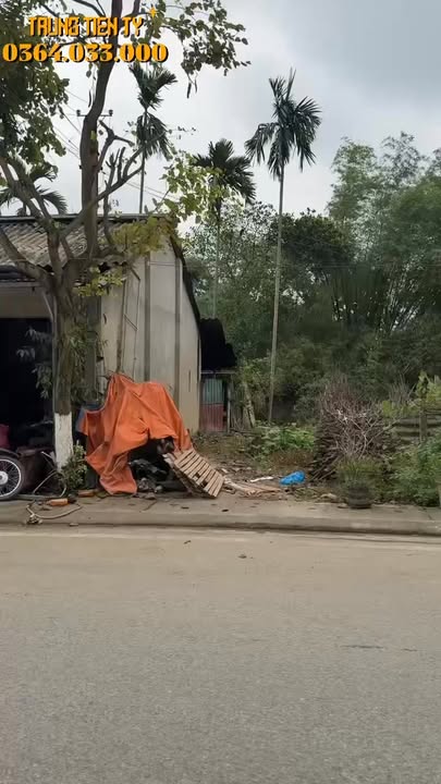 Bán Đất Vàng Mặt Tiền Trần Bình Trọng, Yên Bái - 93m²