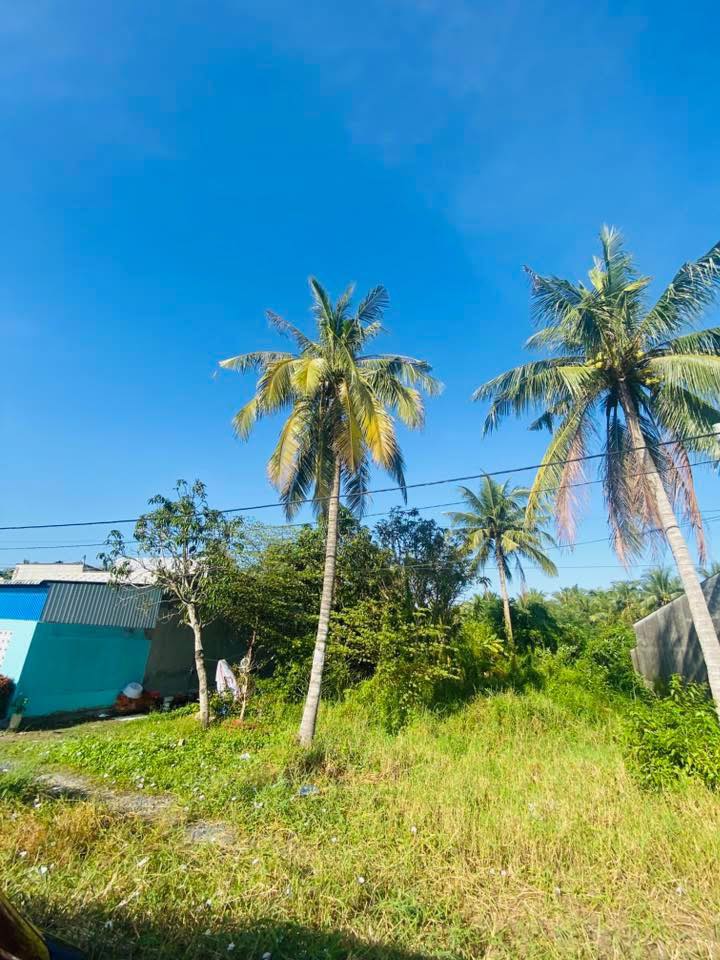 Bán Đất Mặt Tiền Cầu Rạch Miễu 2, Mỹ Tho - 240m² Kinh Doanh Đa Ngành