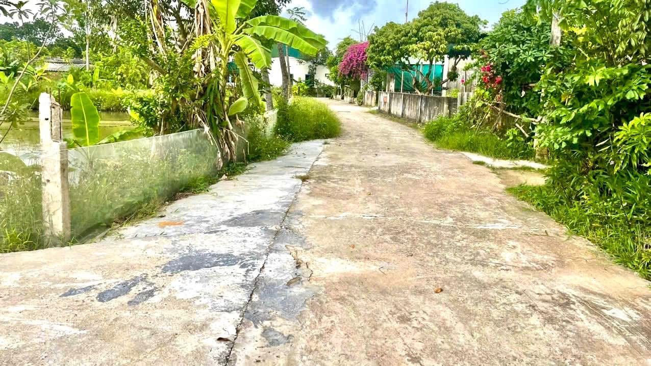 Bán Đất TDP Văn Minh, TP Vinh - 120m² Hướng Tây, Giá 1.2 Tỷ