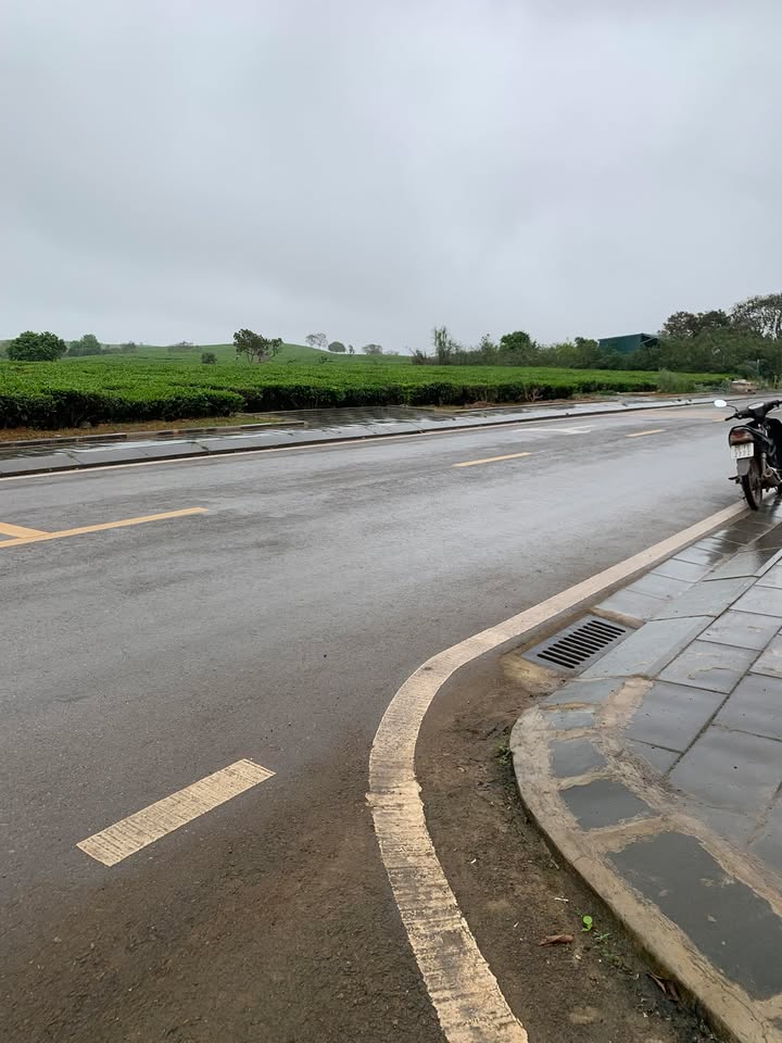 Bán Đất 240m² 2 Mặt Tiền Đường Nhựa Mộc Châu - View Đồi Chè Đẹp