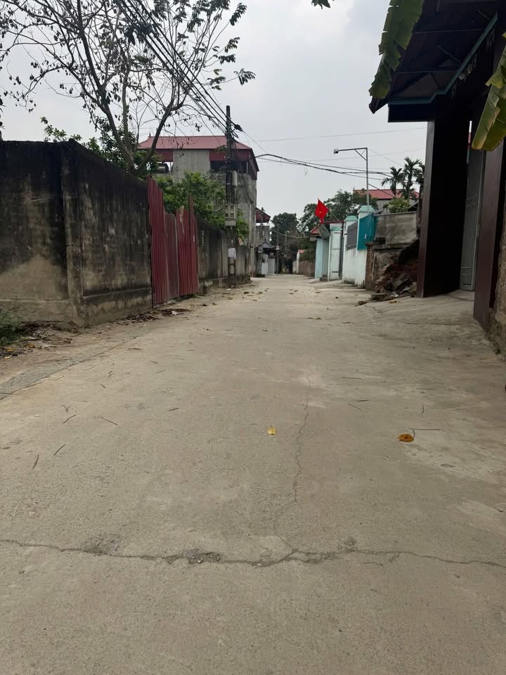 Đất thổ cư 101m² tại Hiệp Hòa, Bắc Giang - Sẵn sổ, gần KCN Hòa Phú